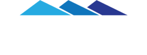 ProfGips Białe Logo